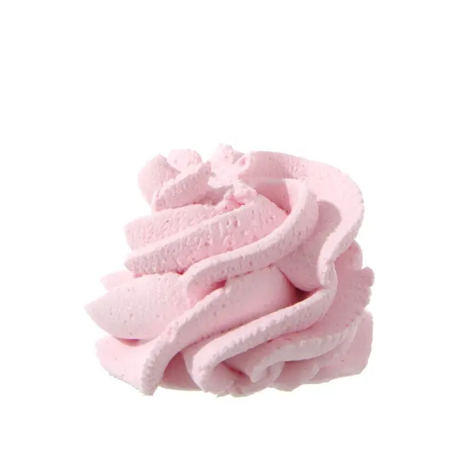 HENDI Decoratie spuitmondjes set – bloemen en blaadjes – 5 stuks – roestvrij staal