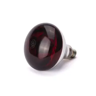 HENDI Infrarood warmtelamp – Rood licht – Versplinteringsbestendig – 230V/250W – ⌀125x(H)170mm