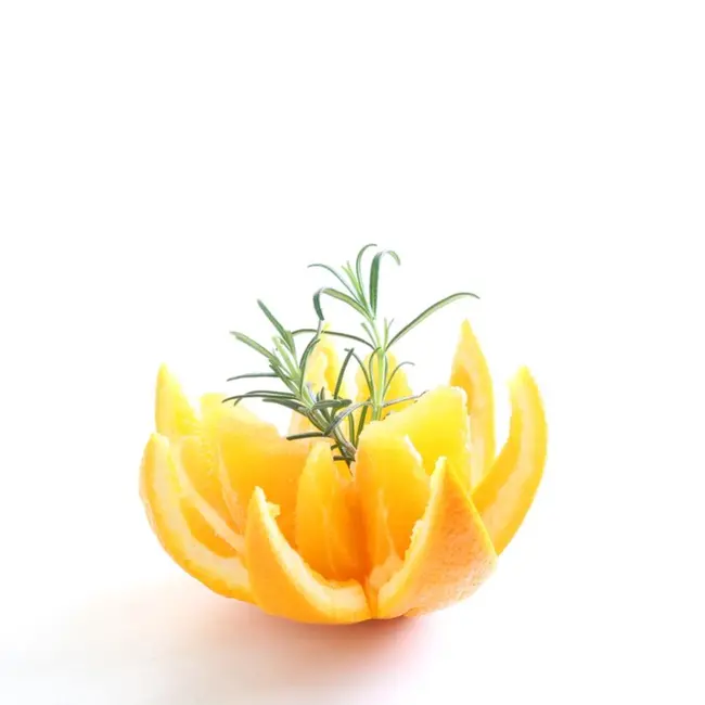 HENDI Citrusschiller – ergonomisch ontwerp – roestvrij staal – 175 mm – zwart