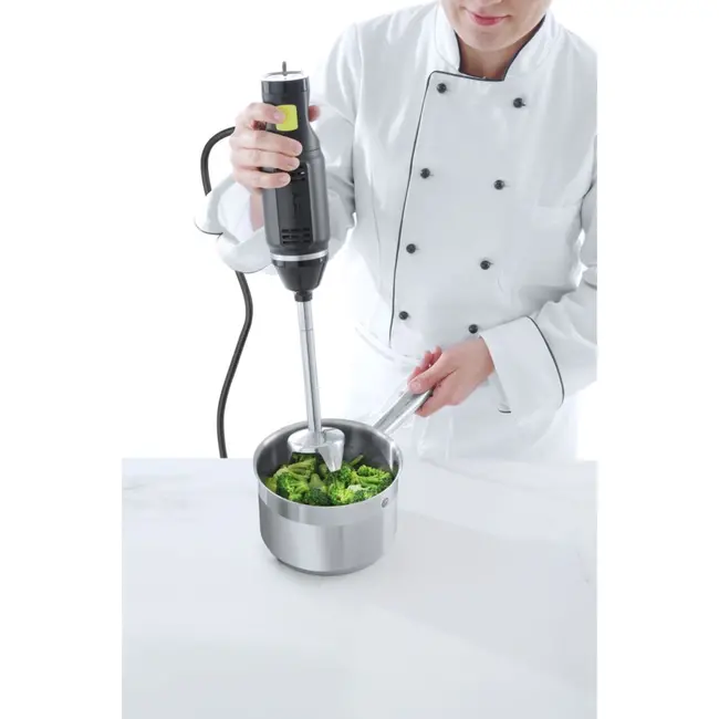 HENDI Krachtige staafmixer – 6 snelheden – titanium gecoat mes – 250W – geschikt voor 1-8 liter