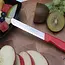 Solingen Tafelmes – Microkartel – Brede smeerkant – RVS – 21,5 cm – Rood – Set van 6