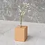 HOCHO Beukenhouten Vaas 55x55x70 mm – Met Glazen Buisje voor Bloemen