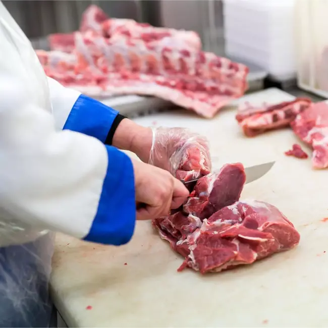 Eikaso Solingen Professionele Messenset – 6-delig – Molybdeenstaal 1,4116 – Rood Ergonomisch Handvat – Solingen Duitsland