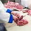 Eikaso Solingen Professionele Messenset – 6-delig – Molybdeenstaal 1,4116 – Rood Ergonomisch Handvat – Solingen Duitsland
