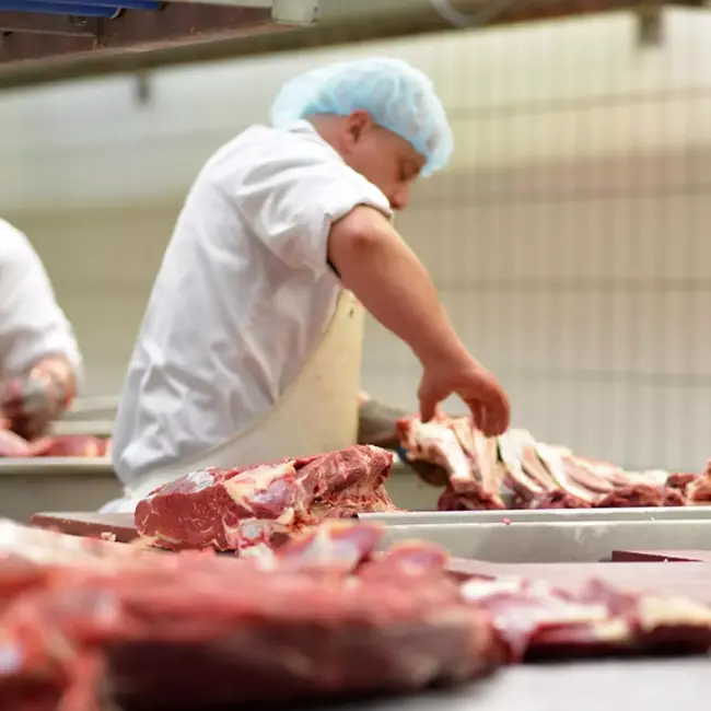 Eikaso Solingen Slagersmessenset – 2-delig – Rood Handvat – Uitbeenmes & Vleesmes – 1,4116 Staal – Solingen Duitsland