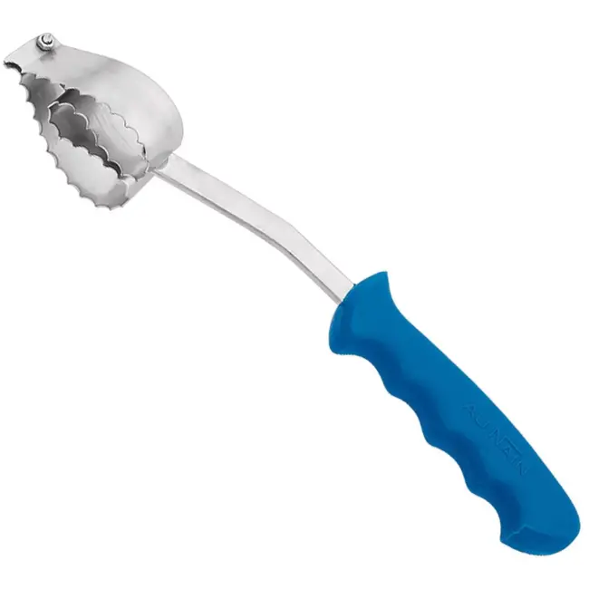 Au Nain Professioneel Ecailleur – Visontschubber – 33 cm – RVS – Kunststof Heft