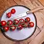 Messermeister Tomatenmes 13 cm – Gekartelde Snede – Olijfhouten Handvat