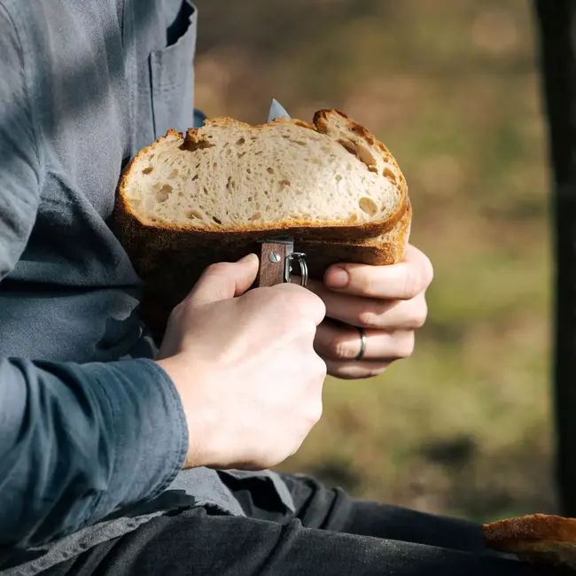 Robert Herder IBEX – Zakmes – Inklapbaar – Lemmet 100 mm – RVS – Heft Thermisch Beukenhout