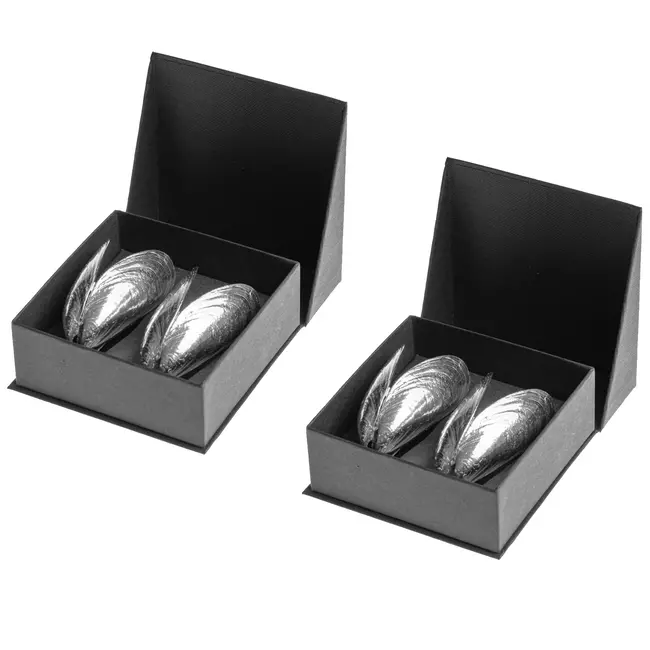 Anovi Zeeuws Mosselbestek – Authentiek en Elegant – 2 x 2 Stuks in Geschenkverpakking