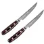 Yaxell Super Gou Steakmessenset 12 cm – 2-delig – 161 Lagen Damaststaal – SG2 Staal – 63 HRC – Canvas-Micarta Heft