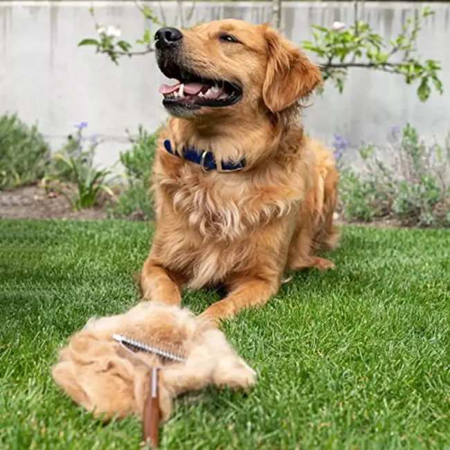 Mars Coat-King Uitdunkam voor Dierenvachten – Middelgroot – 3,5 mm – 10 Messen – Houten Handvat