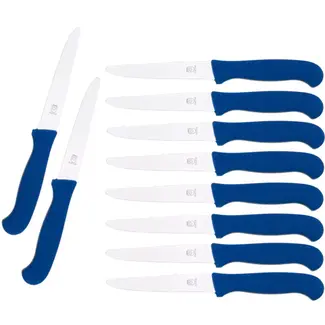 RÖR Solingen Tafelmes – RVS – Lemmet 10,5 cm – Blauw Kunststof – 10 stuks