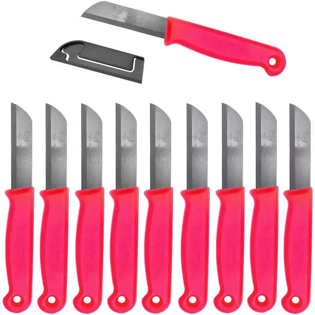 Solingen Schilmesje – RVS – Glad – 16 cm met Blade Cover – Neon Rood – 10 stuks