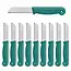 Solingen Schilmesje – RVS Glad – 16 cm met Blade Cover – Donker Groen – 10 Stuks