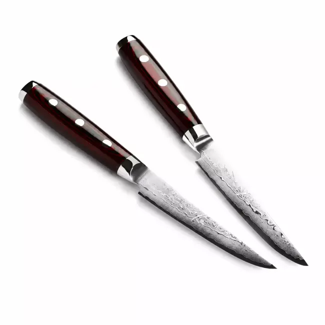 Yaxell Super Gou Steakmessenset 12 cm – 2-delig – 161 Lagen Damaststaal – SG2 Staal – 63 HRC – Canvas-Micarta Heft
