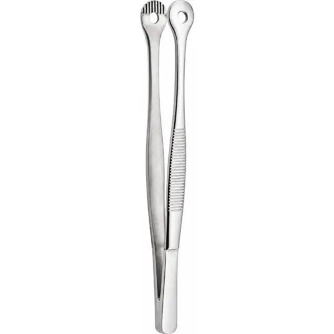 HENDI Pincet met ronde kop – roestvast staal – vaatwasmachinebestendig – 150 mm