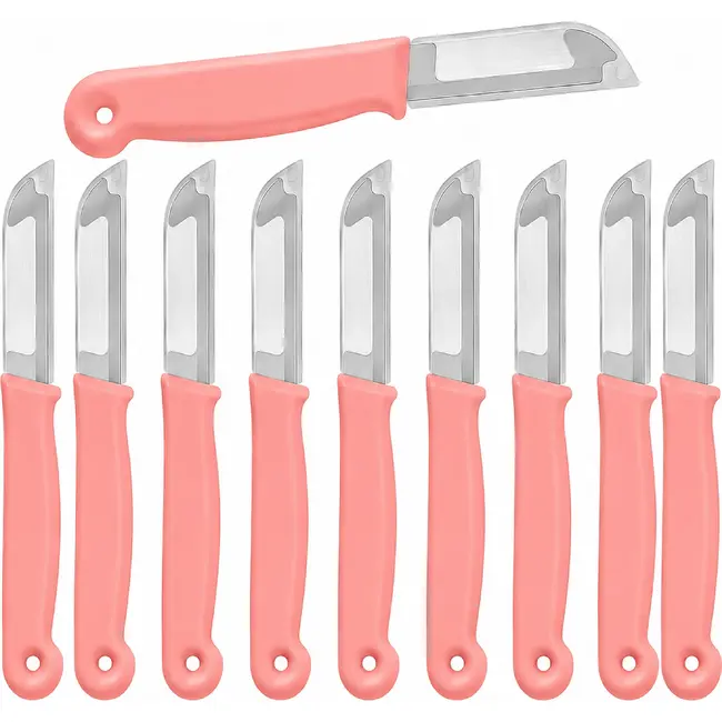 Solingen Schilmesje – RVS Glad – 16 cm met Blade Cover – Pastelroze – 10 Stuks