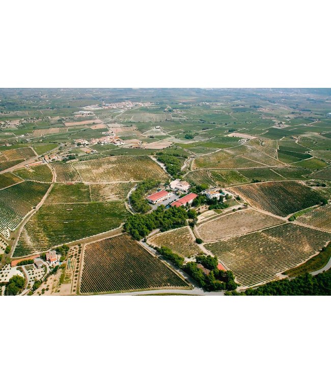 Mont Marcal Cava Extremarium Brut Rose Bio