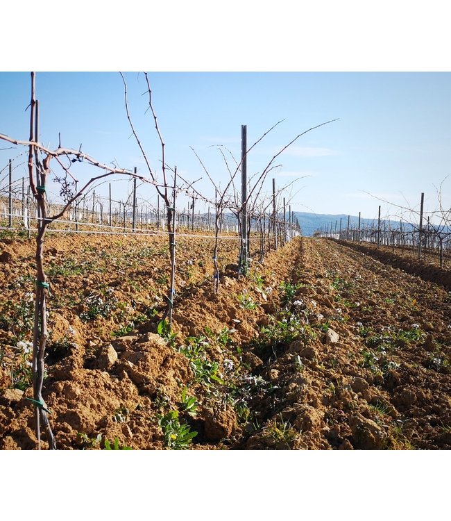 Mont Marcal Cava Extremarium Brut Rose duurzaam geteeld