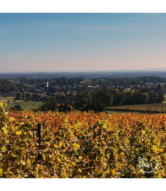 Wolfberger Gewurztraminer Signature Alsace