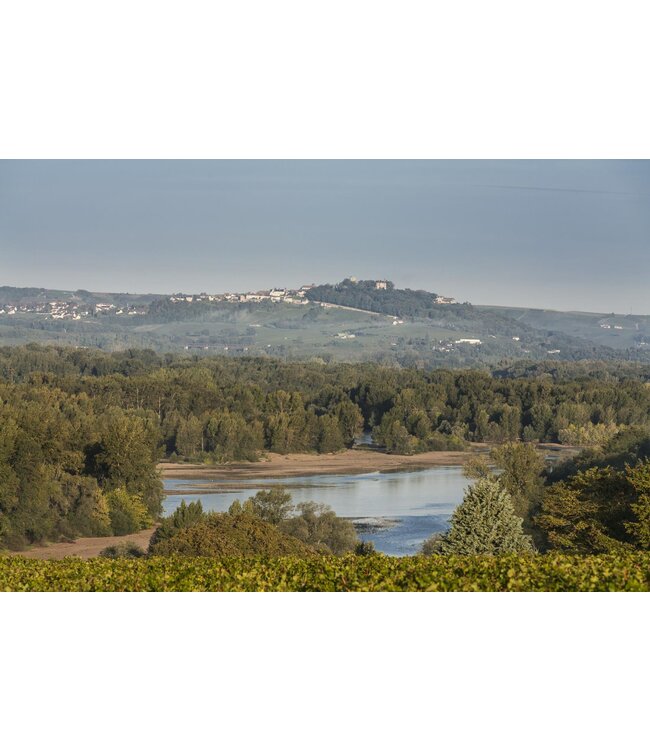 Pascal Jolivet Sancerre Blanc Clos du Roy