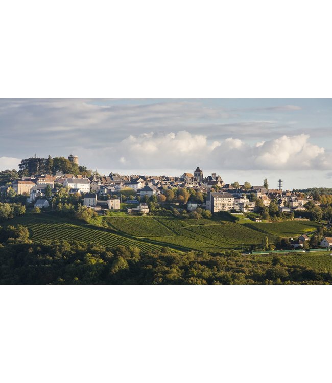 Pascal Jolivet Sancerre Rouge Pinot Noir