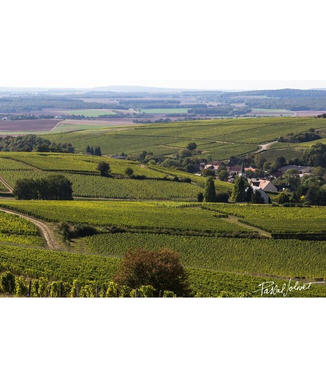 Pascal Jolivet Attitude Sauvignon Blanc