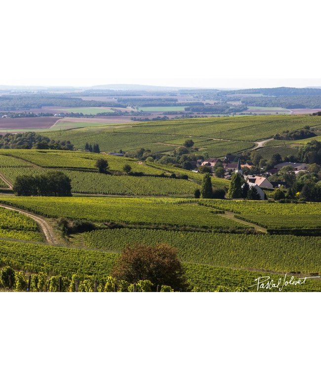 Pascal Jolivet Sancerre Blanc Signature