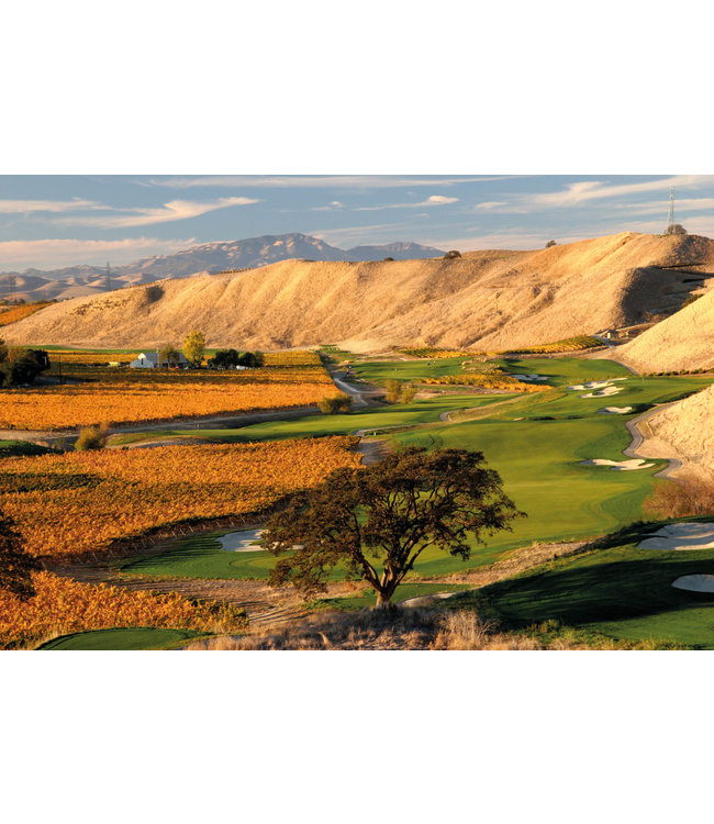 Wente Sandstone Merlot Californië