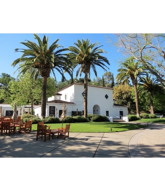 Wente Small Lot Duetto Cabernet Sauvignon