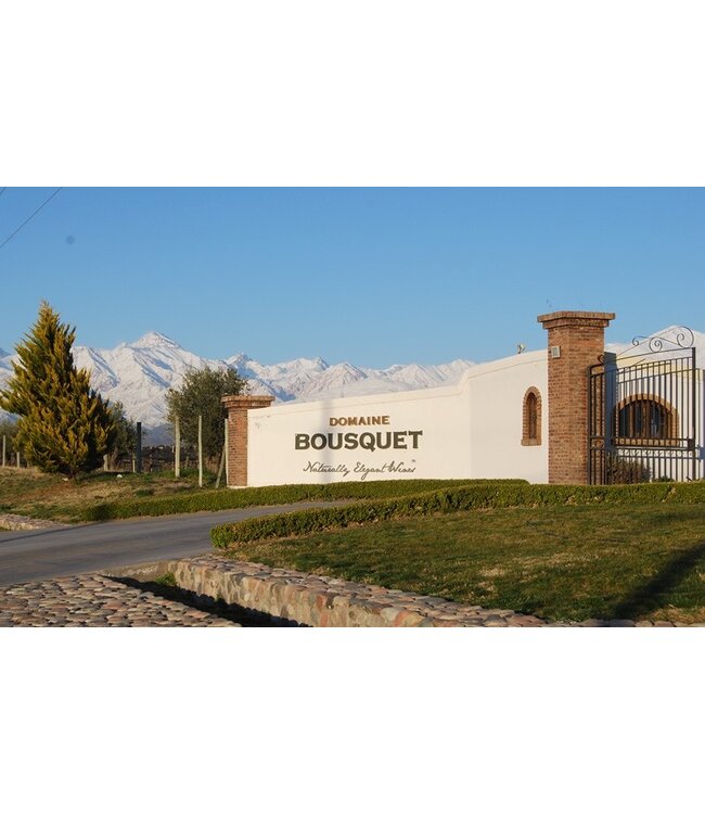Domaine Bousquet Cabernet Sauvignon Reserve duurzaam geteeld