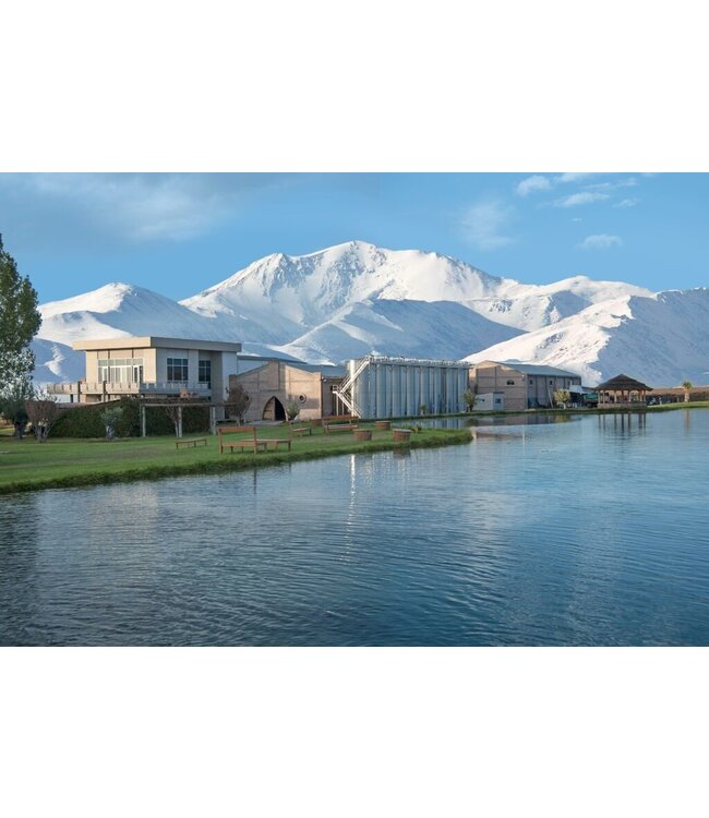 Domaine Bousquet Gran Malbec Reserve duurzaam geteeld