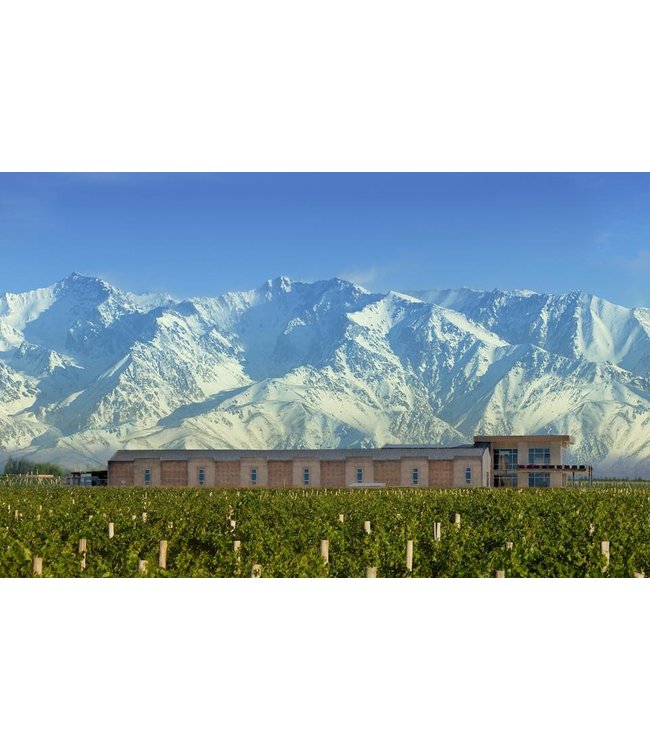Domaine Bousquet Pinot Noir Reserve duurzaam geteeld