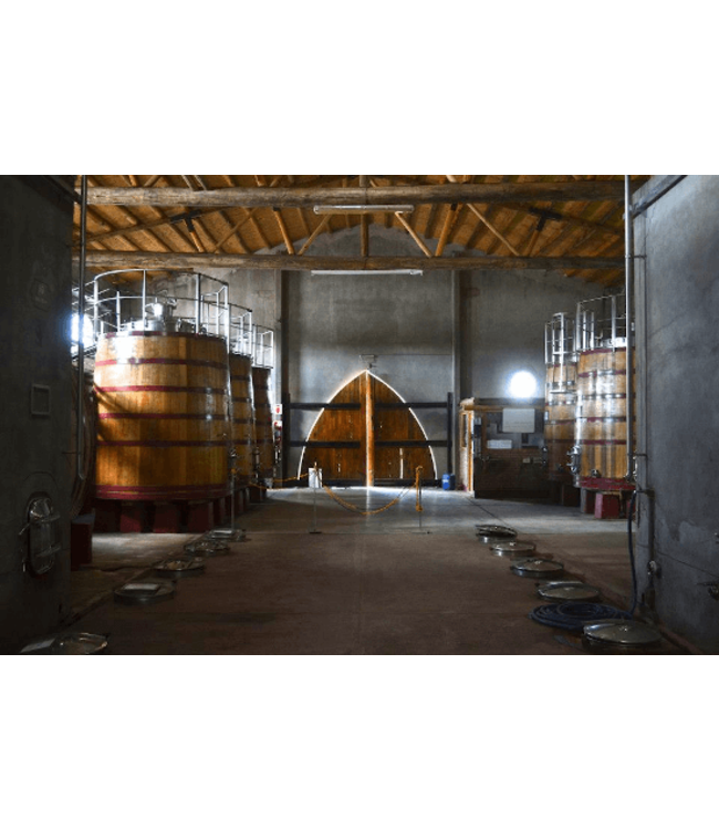 Domaine Bousquet Pinot Noir Reserve duurzaam geteeld