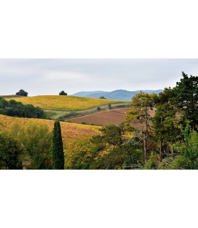 Paul Mas Reserve Chardonnay