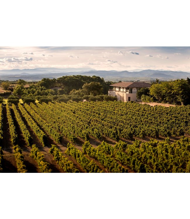 Chateau Paul Mas Parcelle Belluguette Languedoc Blanc