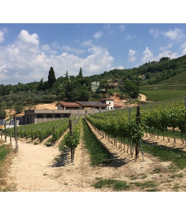 Antiche Terre Lugana DOC