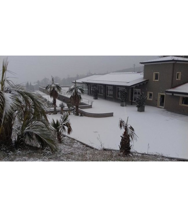 Antiche Terre Valpolicella Ripasso Superiore