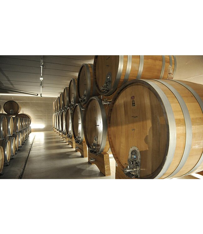 Antiche Terre Valpolicella Superiore