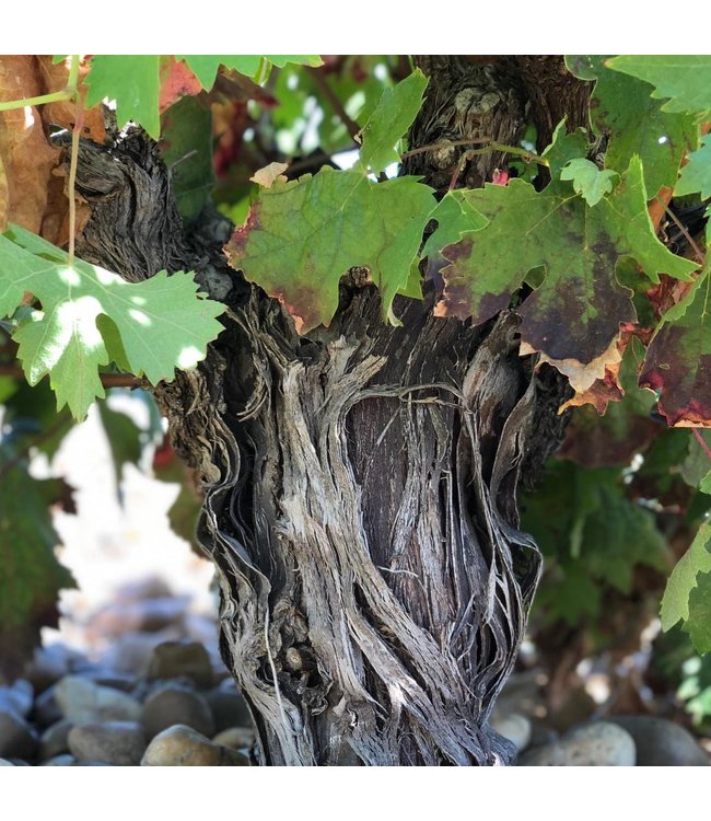 Bardos Romantica Crianza Ribera del Duero