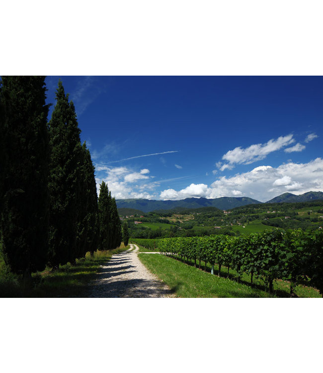 Bepin de Eto Flave Rosato Spumante Mill Docg