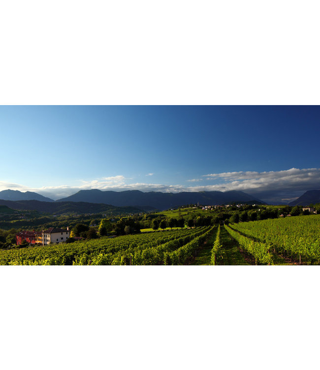 Bepin de Eto Flave Rosato Spumante Mill Docg