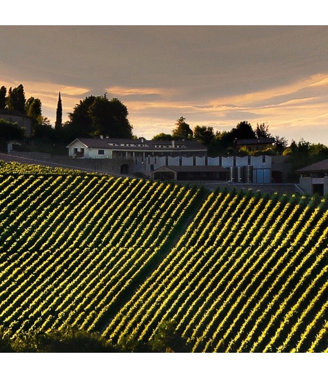 Bepin de Eto Flave Rosato Spumante Mill Docg