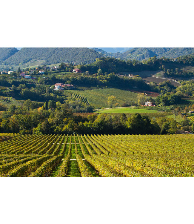 Bepin de Eto Prosecco Spumante Mill. DOCG Valdob