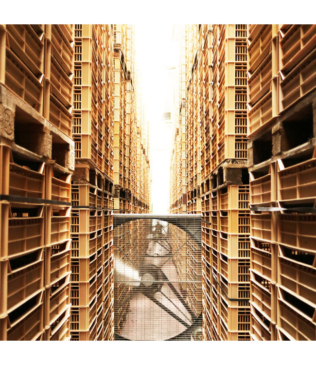 Biscardo Enigma Appassimento Sangiovese Rubicone