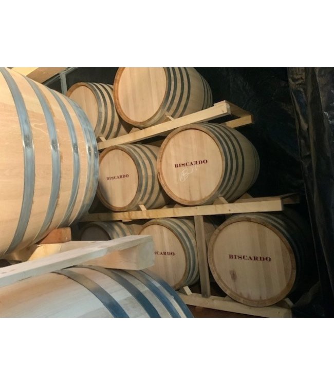 Biscardo Enigma Appassimento Sangiovese Rubicone