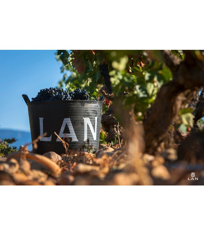 Bodegas LAN Rioja Crianza