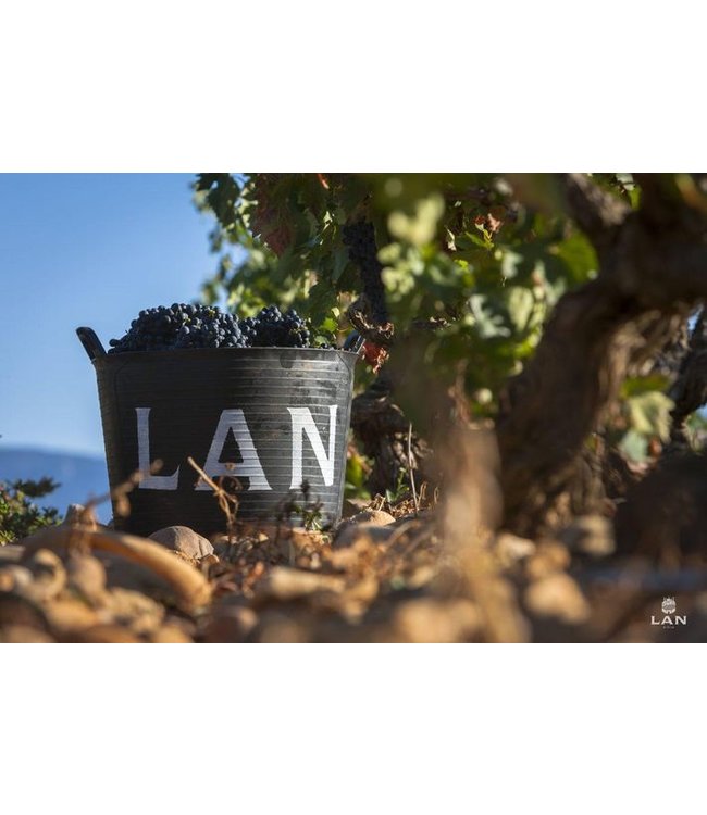 Bodegas LAN Rioja Culmen Reserva