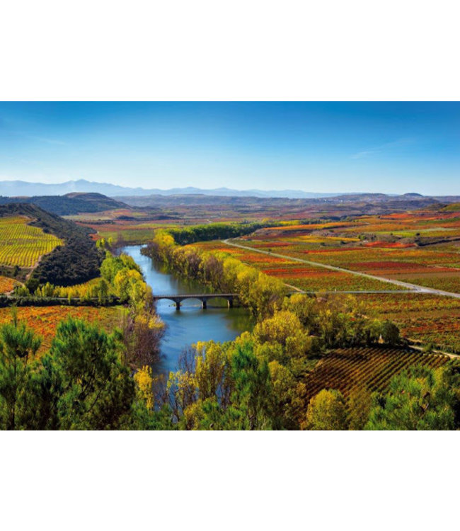 Bodegas LAN Rioja Culmen Reserva