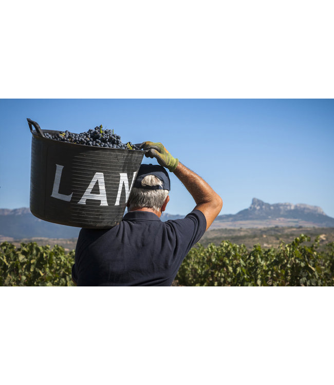 Gran Dominio Crianza Rioja